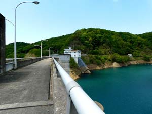 新中野ダムなかの湖