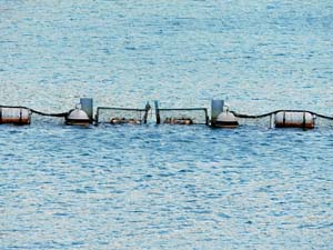新中野ダムなかの湖