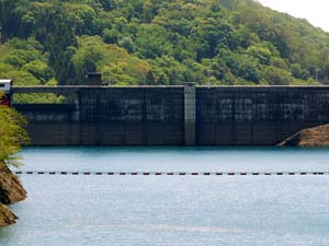 新中野ダムなかの湖
