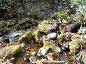 カムイㇴプリからの下山