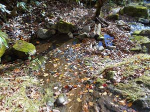 カムイㇴプリからの下山