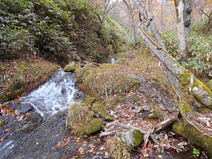 カムイㇴプリからの下山
