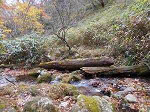 カムイㇴプリからの下山　