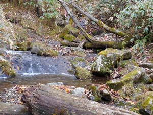 カムイㇴプリからの下山