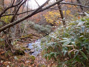 カムイㇴプリからの下山