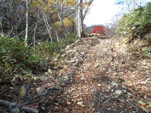 カムイㇴプリからの下山