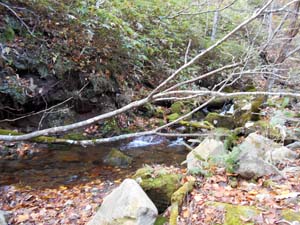 カムイㇴプリからの下山