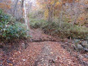 カムイㇴプリからの下山
