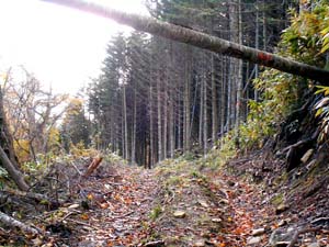 カムイㇴプリからの下山
