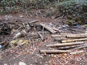 カムイㇴプリからの下山