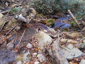カムイㇴプリからの下山
