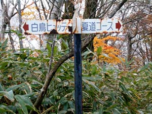 カムイㇴプリからの下山