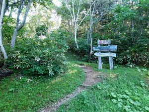 登山口から６００地点へ