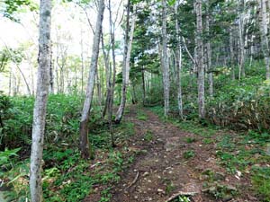 登山口から６００地点へ