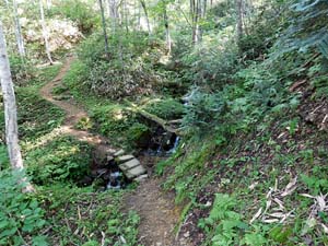 登山口から６００地点へ