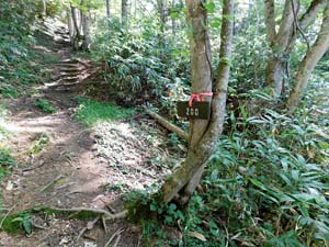登山口から６００地点へ