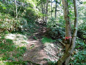 登山口から６００地点へ