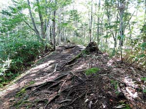 登山口から６００地点へ
