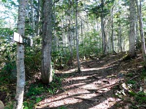 登山口から６００地点へ