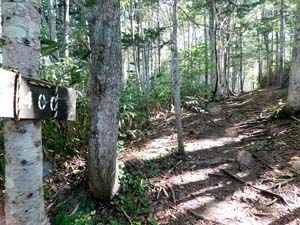 登山口から６００地点へ