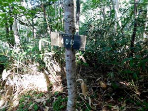 登山口から６００地点へ