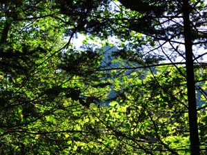 登山口から６００地点へ
