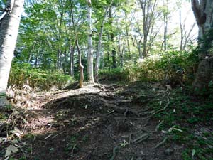 登山口から６００地点へ