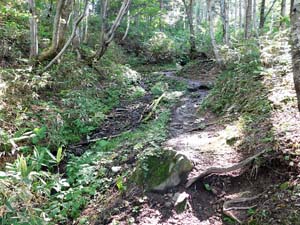 分岐点へ