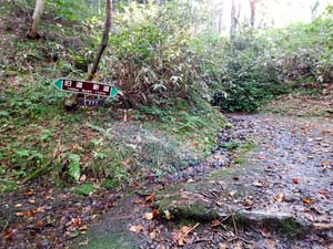 分岐点へ