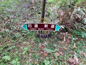 分岐点へ