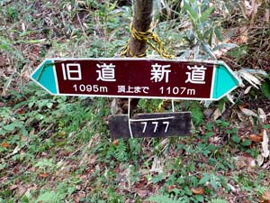 分岐点へ