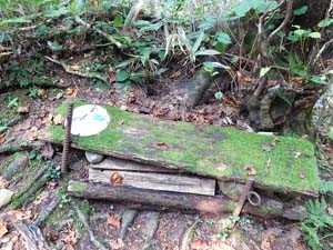 分岐点へ