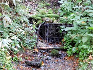 分岐点へ