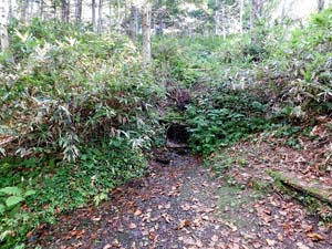 分岐点へ