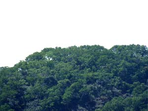 「来馬岳」標示板
