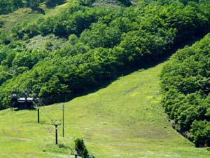 「来馬岳」標示板辺りから