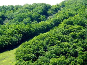 「来馬岳」標示板辺りから