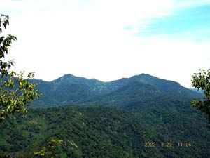 山頂から