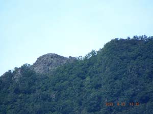 黄金山麓から