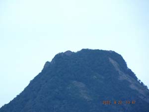 黄金山麓から
