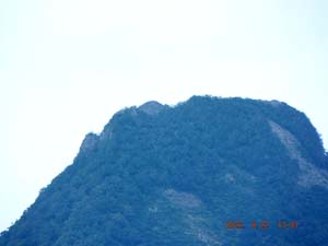 黄金山麓から
