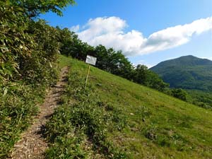 サンライバスキー場