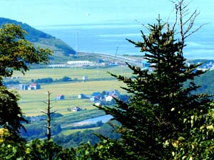 架右岸手前の牧草地