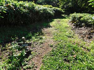 登山道