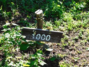 「１０００m」の標示板