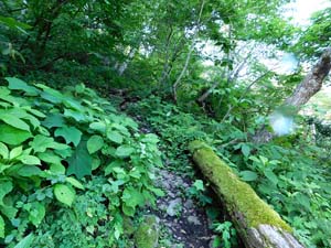 「１４００m」の標示板へ