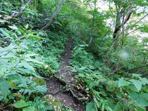 「１４００m」の標示板へ