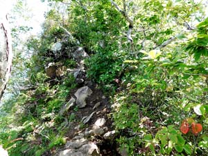 山頂へ
