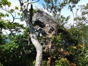 山頂へ