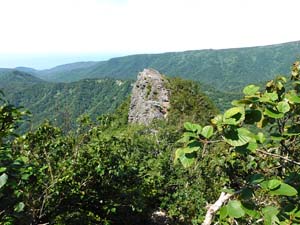 山頂へ